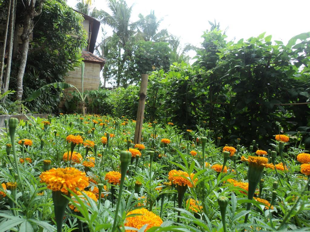 Villa Bhuana Alit Ubud Exterior foto