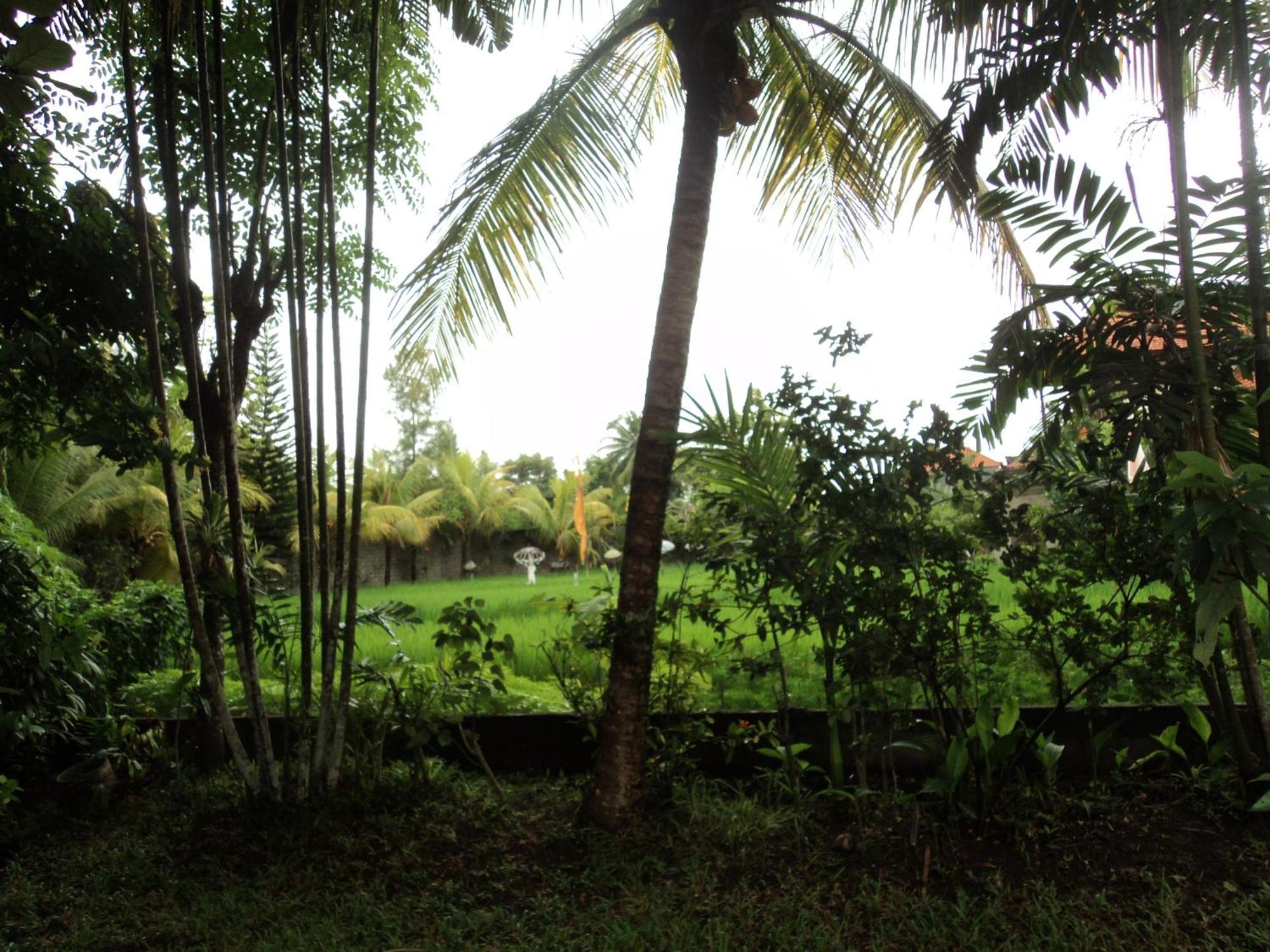 Villa Bhuana Alit Ubud Zimmer foto