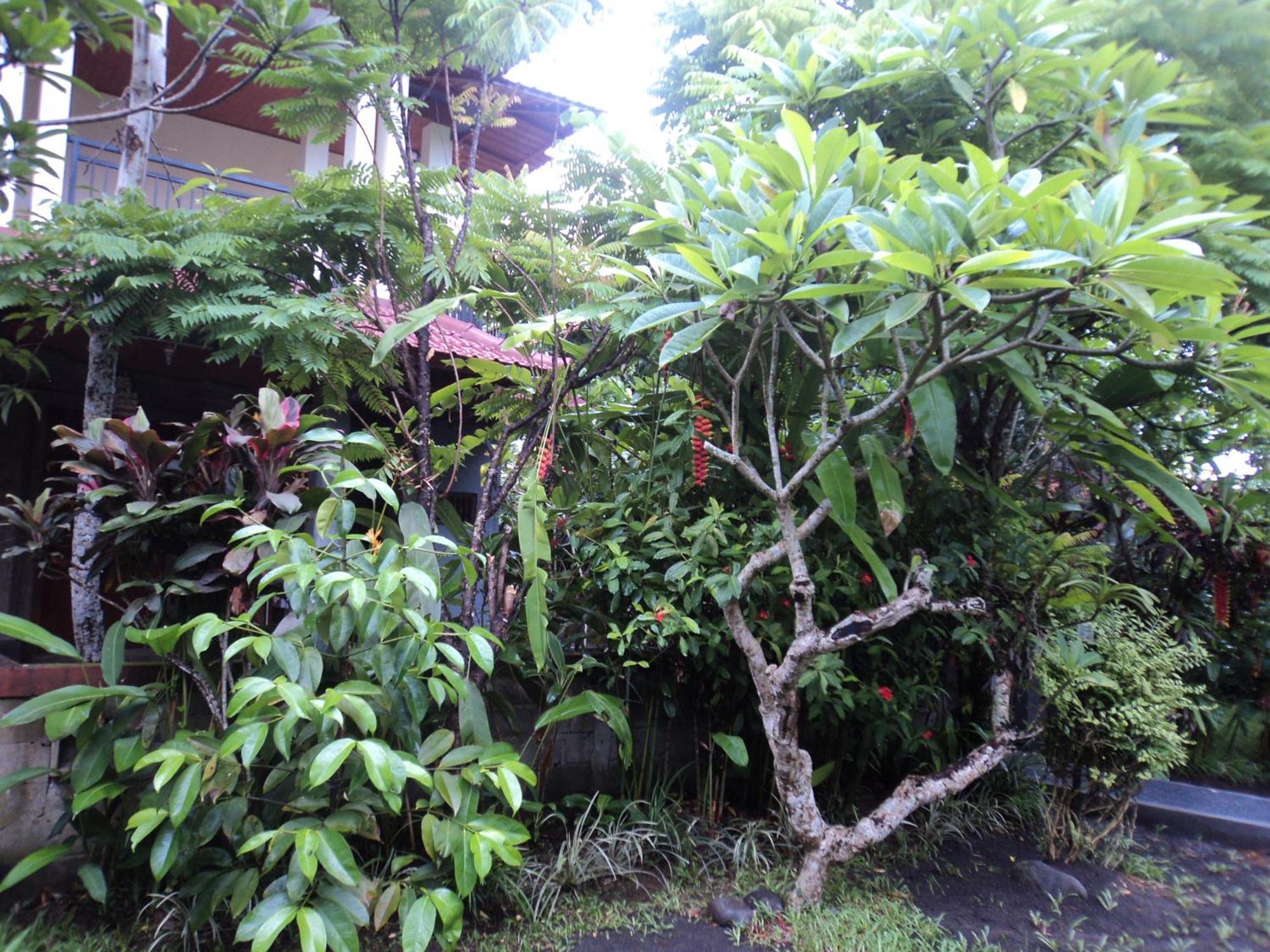 Villa Bhuana Alit Ubud Zimmer foto