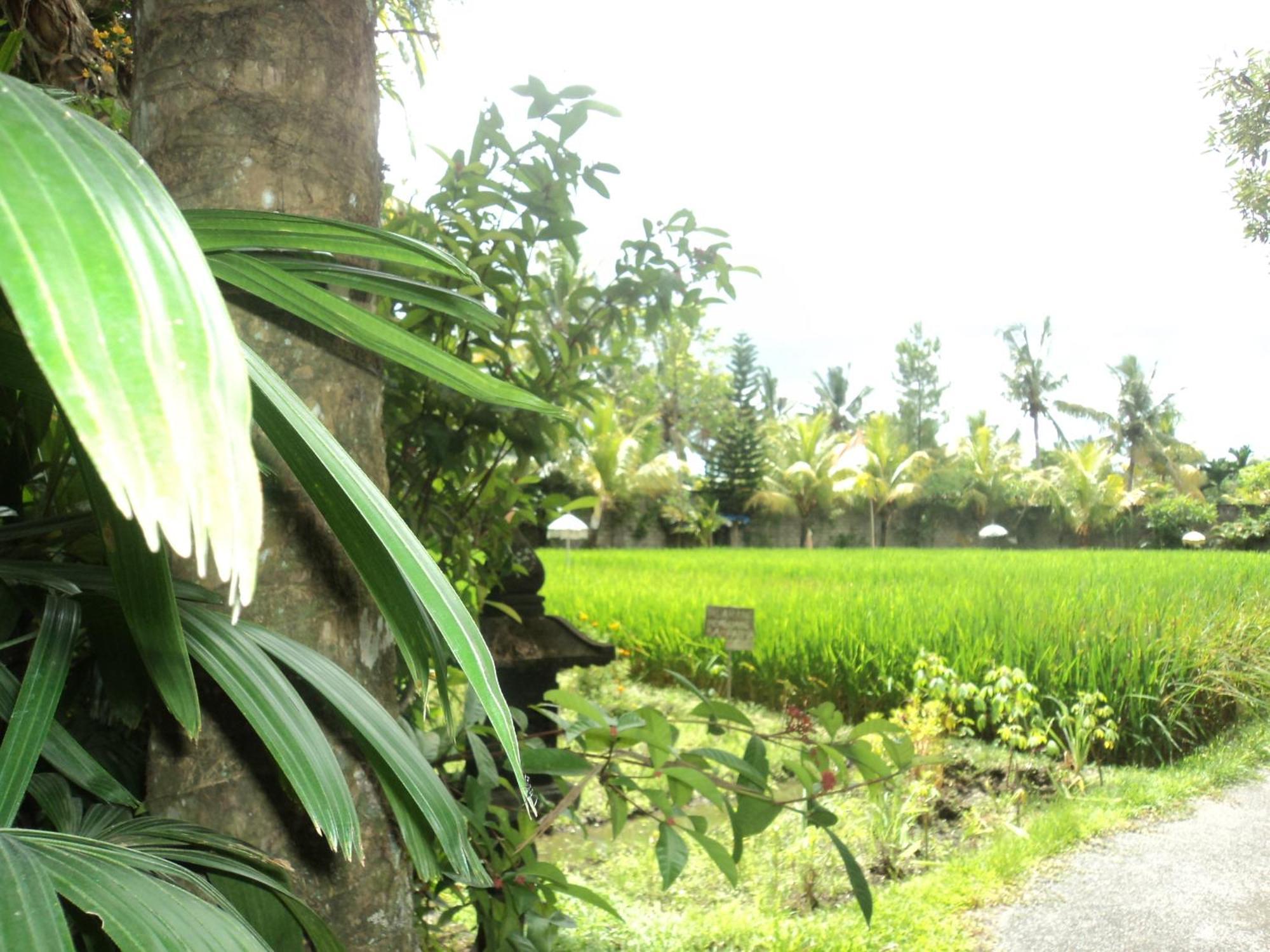 Villa Bhuana Alit Ubud Zimmer foto