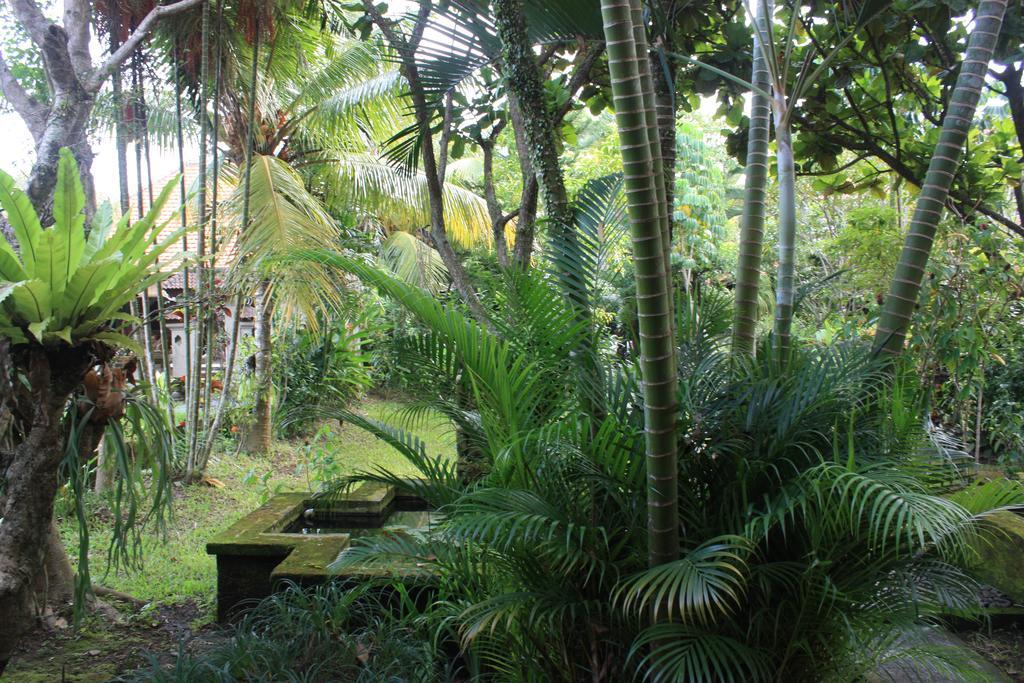 Villa Bhuana Alit Ubud Exterior foto